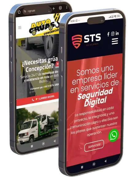 Desarrollo Web Profesional