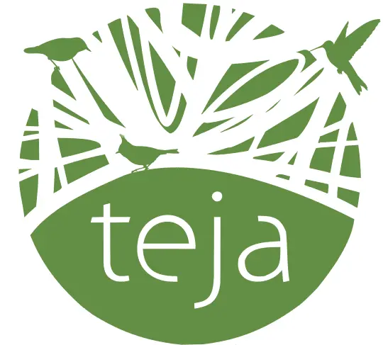 Logo Teja Verde